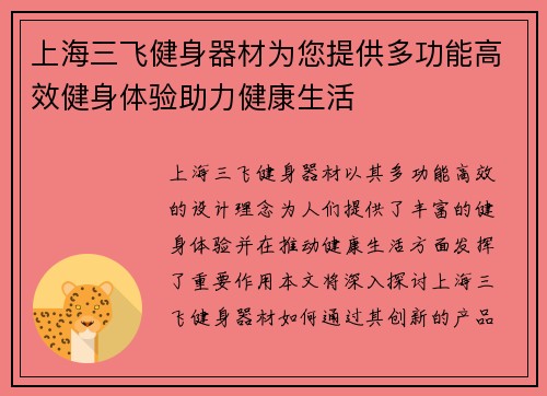 上海三飞健身器材为您提供多功能高效健身体验助力健康生活