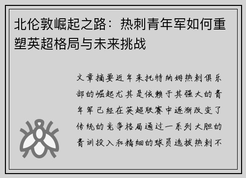 北伦敦崛起之路：热刺青年军如何重塑英超格局与未来挑战