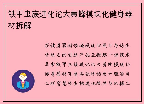 铁甲虫族进化论大黄蜂模块化健身器材拆解