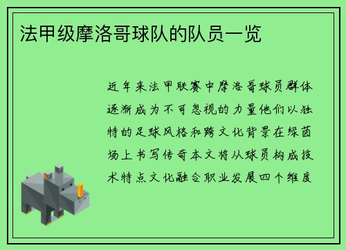 法甲级摩洛哥球队的队员一览