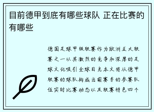 目前德甲到底有哪些球队 正在比赛的有哪些